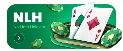 טקסס הולדם NLH